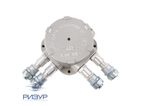 Терморегулятор РИЗУР-ЦСУ