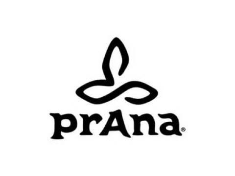 Фирма "Prana R&D", Франция
