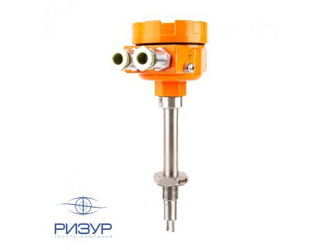Сигнализатор уровня и потока термодифференциальный РИЗУР-200