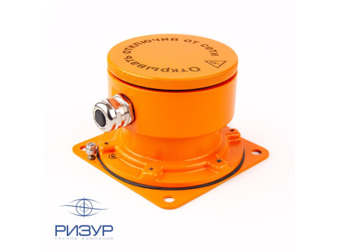 Сигнализатор уровня мембранный РИЗУР-М-СМ1