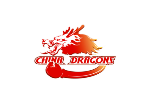 Компания "Beijing Dragon Electronics Co.", Китай