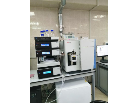 Хроматограф жидкостный UltiMate 3000 с масс-спектрометрическим детектором TSQ Fortis 