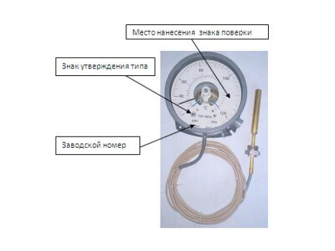 Термометры манометрические показывающие электроконтактные ТКП-160Эк