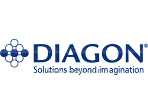 Фирма "Diagon Ltd.", Венгрия