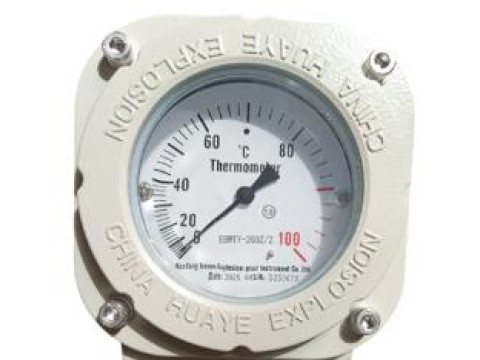 Термометры манометрические взрывозащищенные EBWTY