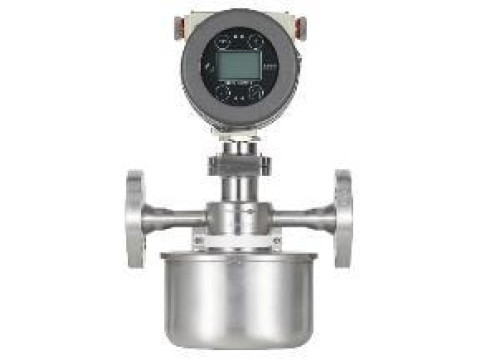 Расходомеры массовые DMF-1