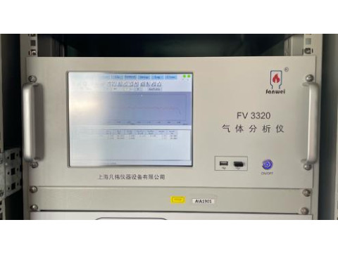 Хроматограф газовый промышленный FV 3320