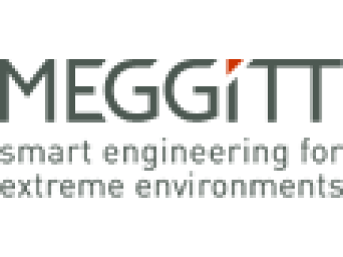 Фирма "Meggitt Sensing Systems-Orange County", США