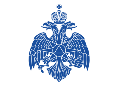 ФКУ ЦЕНТР МТМО МЧС РОССИИ, г. Москва