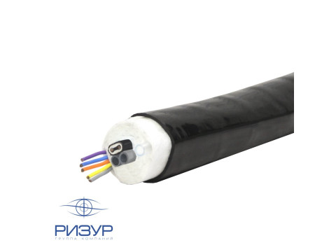 Специальные исполнения РИЗУРПАК