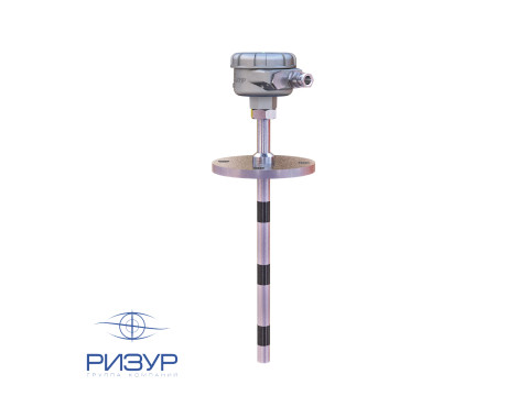 Сигнализатор уровня кондуктометрический РИЗУР-300