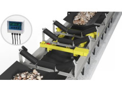 Весы непрерывного действия конвейерные автоматические ВНКА