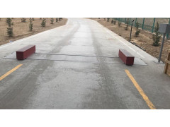 Весы автомобильные электронные ВАТ-Д