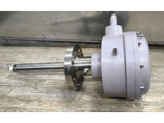 Зонды электростатические SEM-H