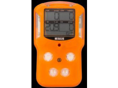 Газоанализаторы портативные Мультигазсенс М4