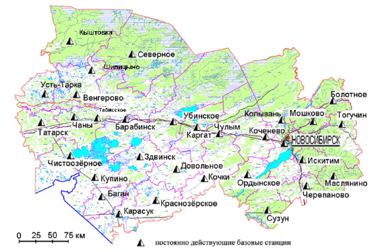 Тогучин новосибирская область карта