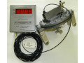 Измерители веса гидравлические электронные ГИВ-1Э (Фото 1)