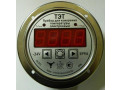 Приборы для измерения температуры электронные ТЭТ (Фото 1)