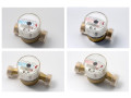 Счетчики холодной воды малогабаритные и счетчики горячей воды малогабаритные СХВМ-15 и СГВМ-15 (Фото 1)