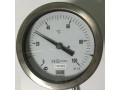 Термометры манометрические TM809 (Фото 1)
