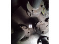 Резервуары горизонтальные стальные цилиндрические двустенные РГСд-50 (Фото 4)