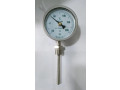 Термометры биметаллические WSS-481 (Фото 1)