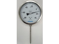 Термометры манометрические PGTS (Фото 6)