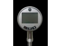Манометры цифровые ЦМ (Фото 1)