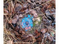 Полигон пространственный эталонный Свердловский  (Фото 6)