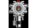 Детекторы газовые G750-PID (Фото 2)